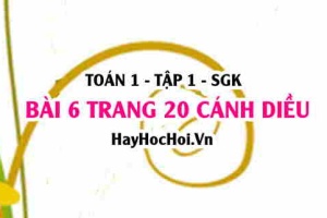 Bài 6 trang 20 Toán 12 tập 1 Cánh Diều